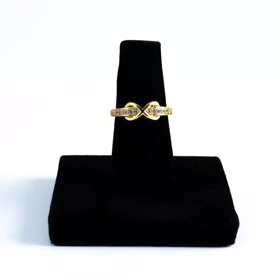 The everlasting band